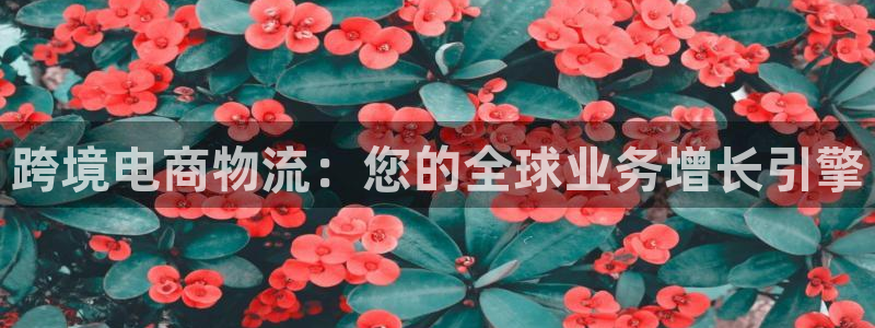 28圈人工客服电话是什么：跨境电商物