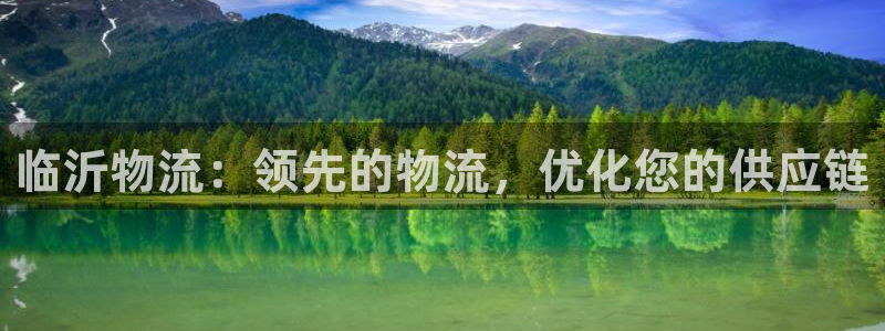 28圈预测加拿大：临沂物流：领先的物