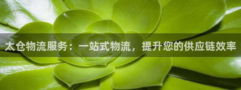 28圈.ccmpc正版：太仓物流服务