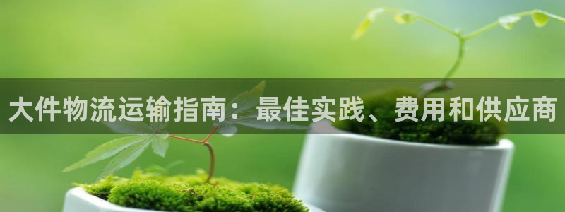 28圈注册网站多少：大件物流运输指南