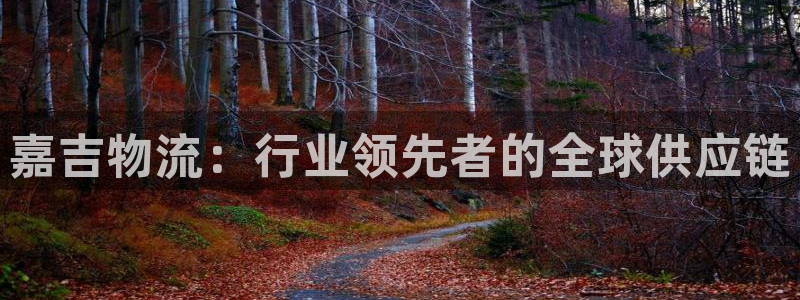 28圈预测网：嘉吉物流：行业领先者的