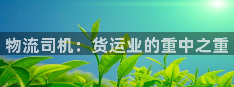 28圈退款：物流司机：货运业的重中之