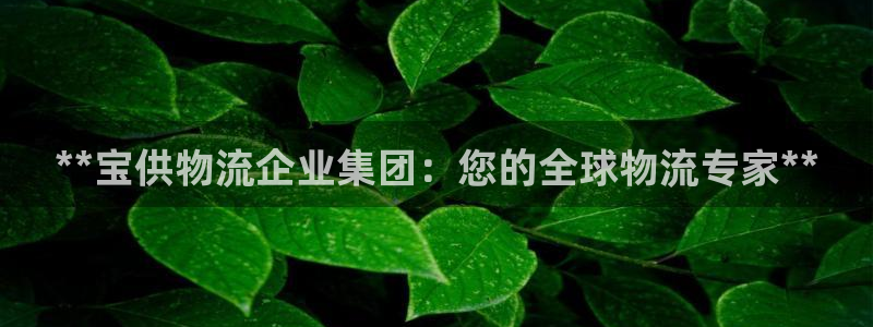 28圈怎么申请代理：**宝供物流企业