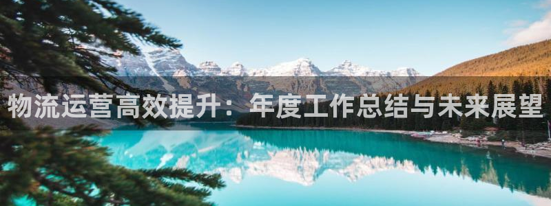 28圈客服一直不回消息怎么办