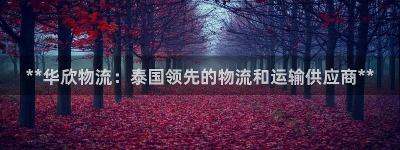 28圈模拟器在线玩：**华欣物流：泰