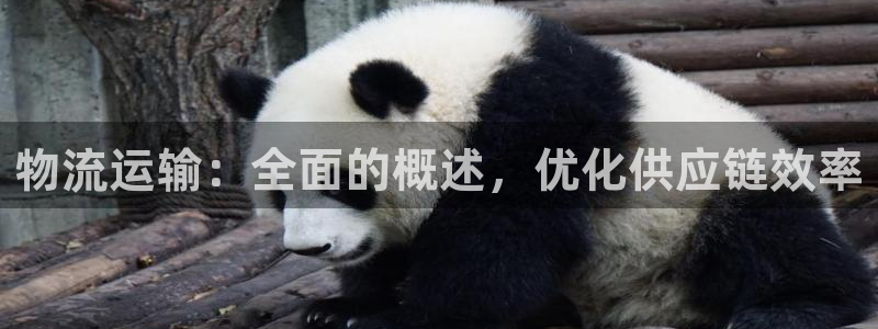 28圈加拿大开奖：物流运输：全面的概