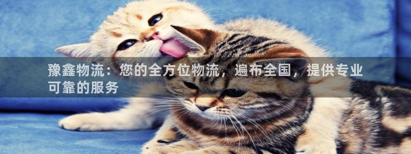 28圈游戏官网入口：豫鑫物流：您的全
