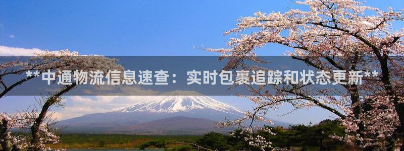 28圈登录流程：**中通物流信息速查