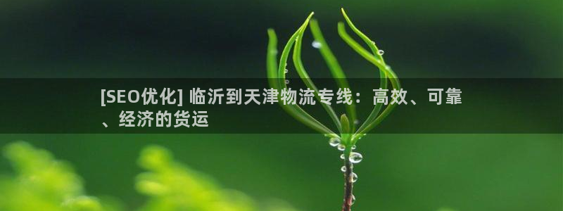 28圈下载链接是多少：[SEO优化]