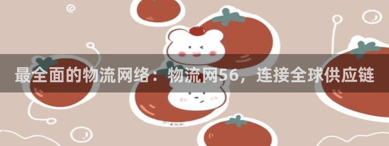 28圈选28ng官网：最全面的物流网