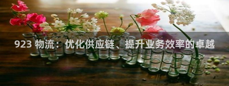 28圈技巧：923 物流：优化供应链