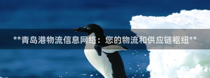 28圈充值不处理怎么办：**青岛港物