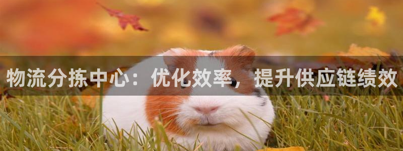 28圈.ccmpc预测：物流分拣中心
