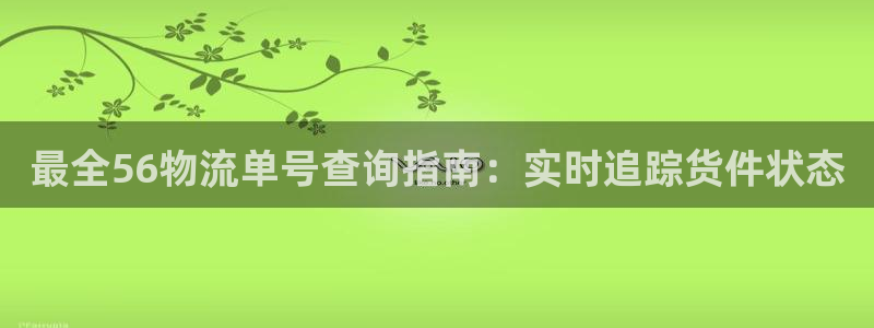 28圈注册网站加拿大：最全56物流单