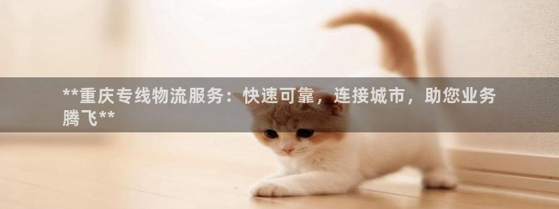 28圈的自行车：**重庆专线物流服务
