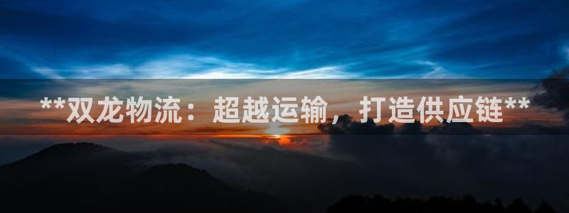 28圈登录不上咋回事：**双龙物流：