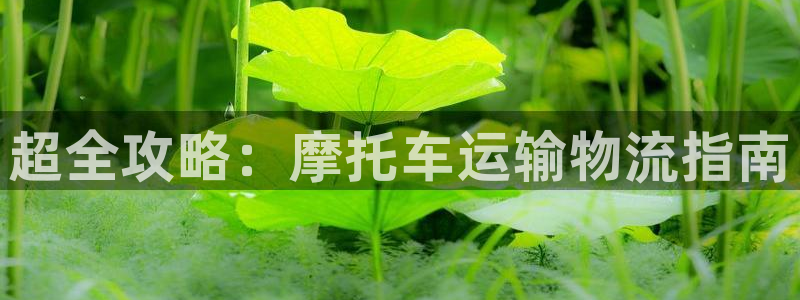 28圈怎么注册游戏名字：超全攻略：摩