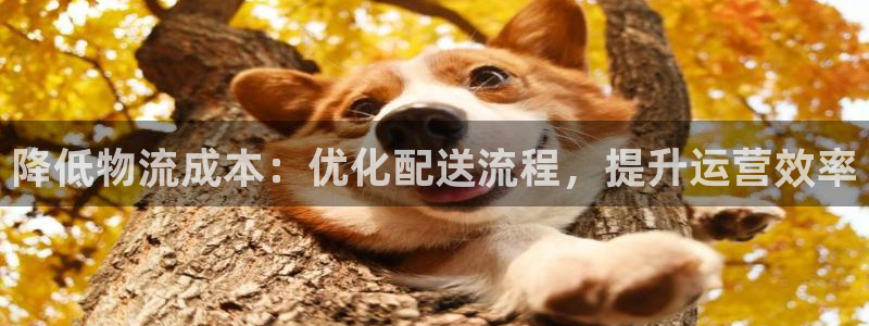 28圈比特28预测在线预测
