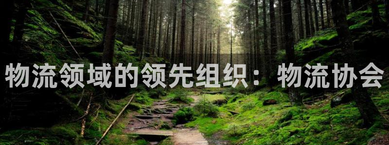 28圈免费