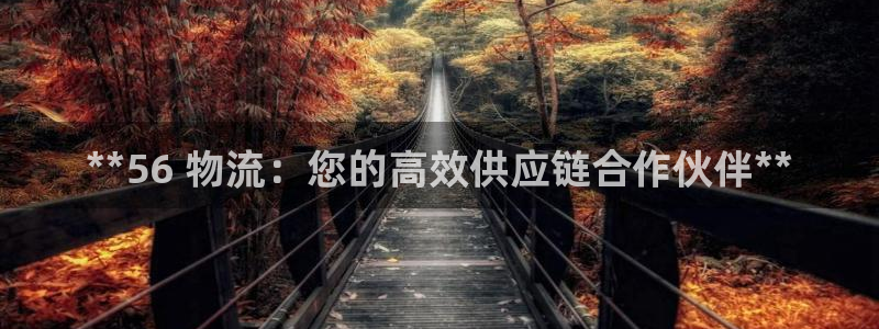 28圈app官网少林足球
