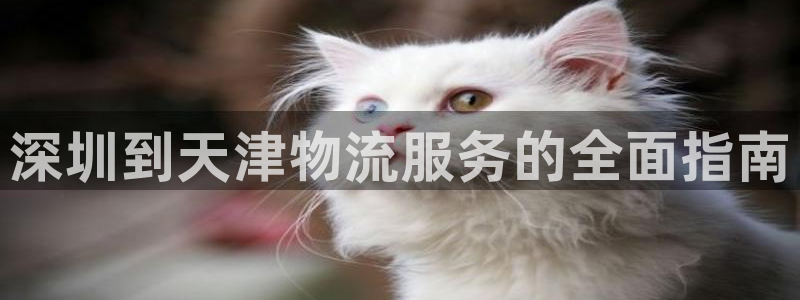 28圈.ccm官网