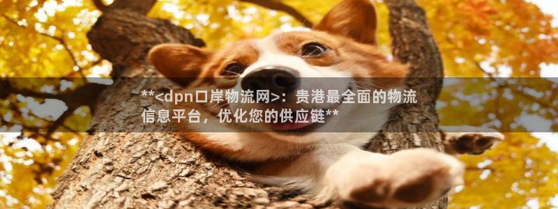 28圈稳吗：**<dpn口岸物流网>