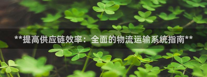 **提高供应链效率：全面的物流运输系