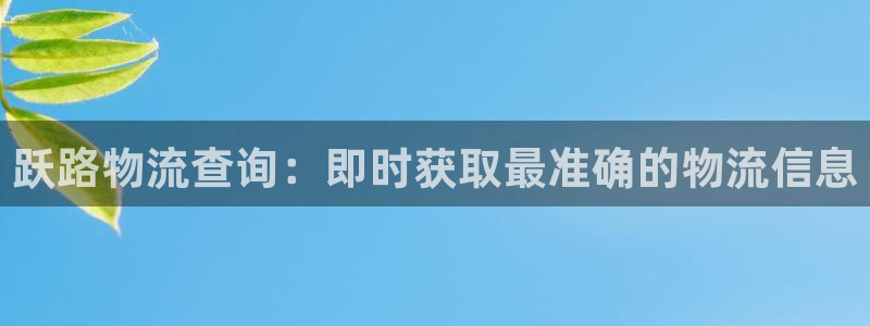 28圈吧：跃路物流查询：即时获取最准