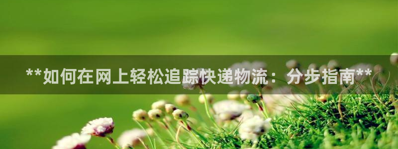28圈注册网页版：**如何在网上轻松