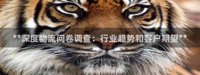 28圈app赢了500万：**深度物