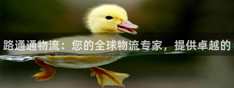 28圈麻将胡了