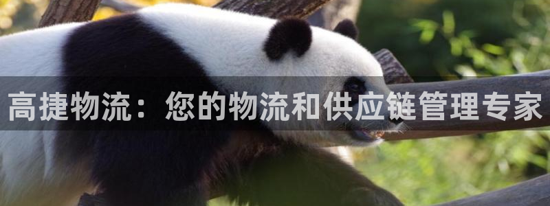 28圈哪个最赚钱：高捷物流：您的物流