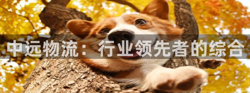28圈注册登录流程：中远物流：行业领