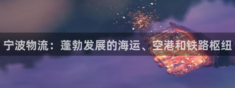 28圈如何退款：宁波物流：蓬勃发展的