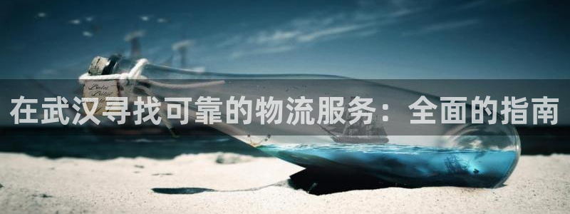 28圈官网链接：在武汉寻找可靠的物流