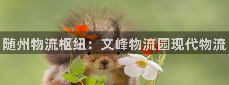 28圈如何注销账号：随州物流枢纽：文