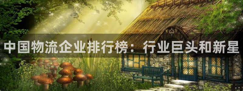 28圈注册过了警察知道吗：中国物流企