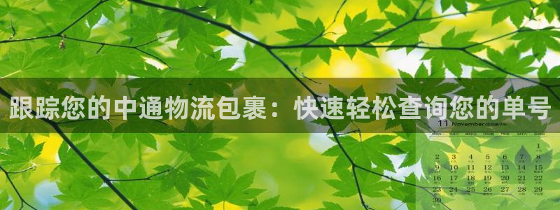 加拿大28圈注册链接：跟踪您的中通物