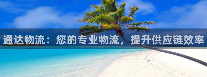 pc28圈怎么注册：通达物流：您的专