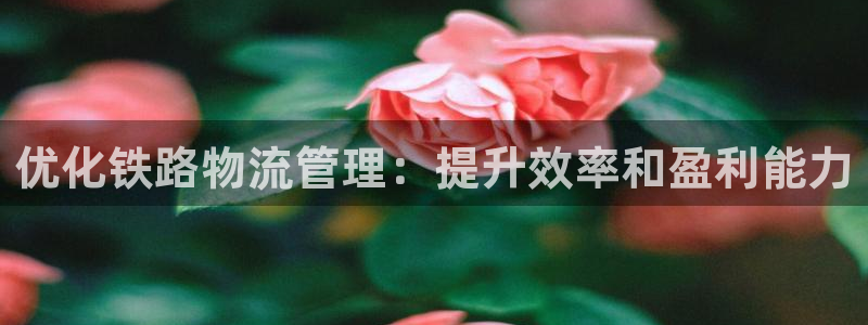 28圈龙虎：优化铁路物流管理：提升效
