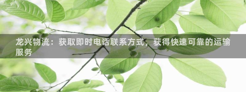 28圈注册送：龙兴物流：获取即时电话