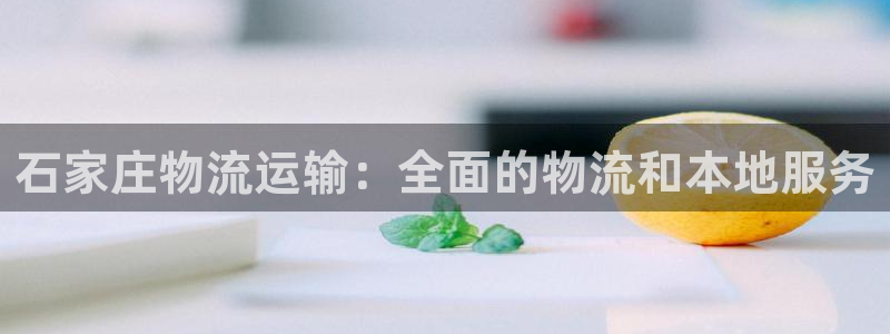 28圈加拿大技巧：石家庄物流运输：全