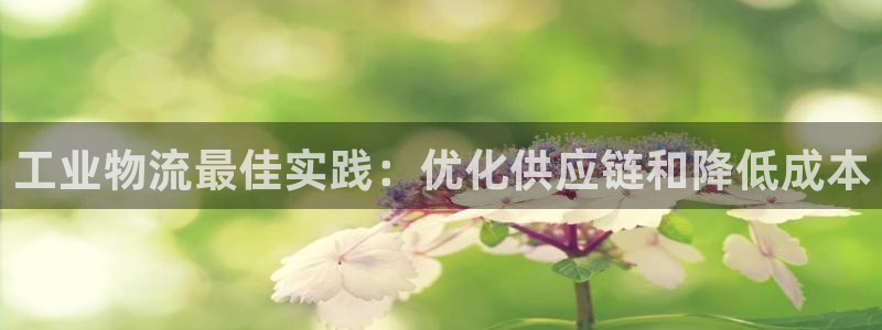 28圈开奖预测：工业物流最佳实践：优