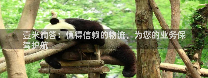 28圈模拟器在线使用：壹米滴答：值得