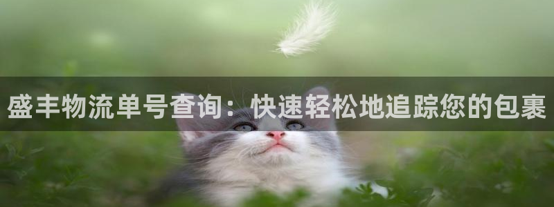 28圈最稳打法