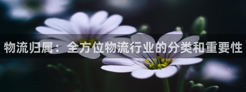 28圈加拿大真假怎么看：物流归属：全