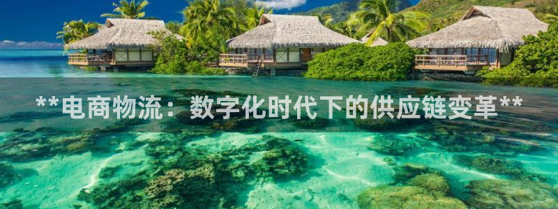 28圈能退款吗：**电商物流：数字化