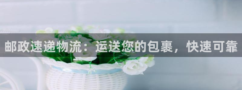 28圈下载不了：邮政速递物流：运送您