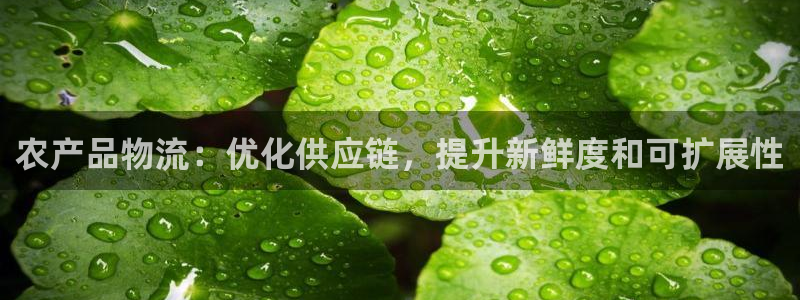 28圈官网链接
