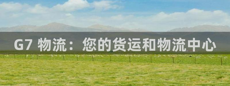 28圈登陆网：G7 物流：您的货运和